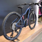 Prenota Ebike Mtb Usata Bergamont E-Revox Premium Fmn 2024